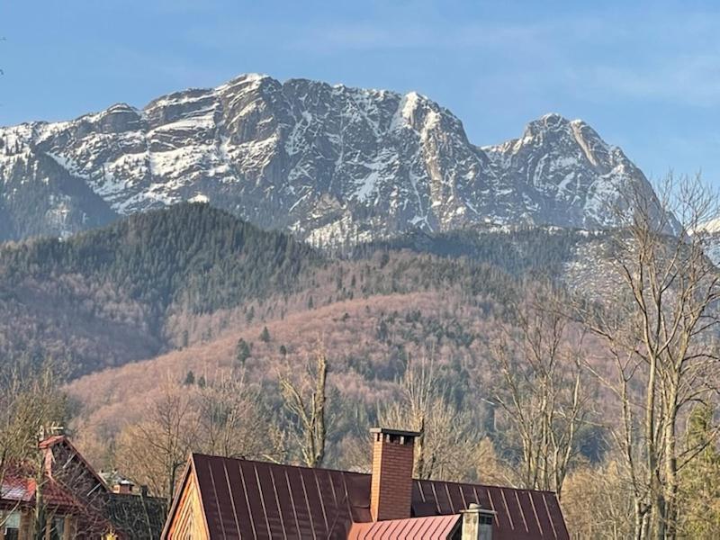 Modrzejewska Residence Zakopane Eksteriør billede